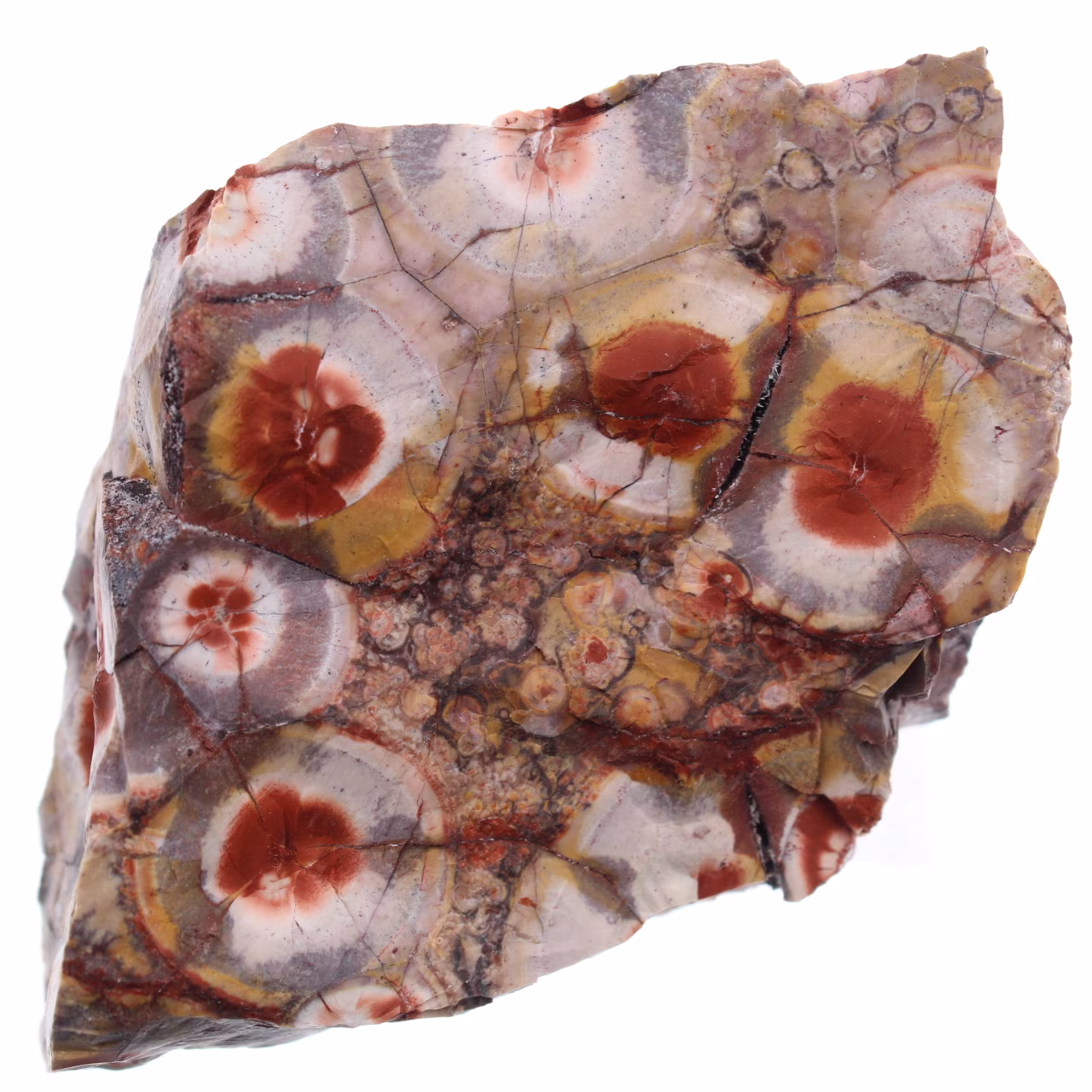 Diaspro Eyespot