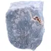 Angelite blu - 0