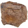 Bronzite dal Brasile - 0