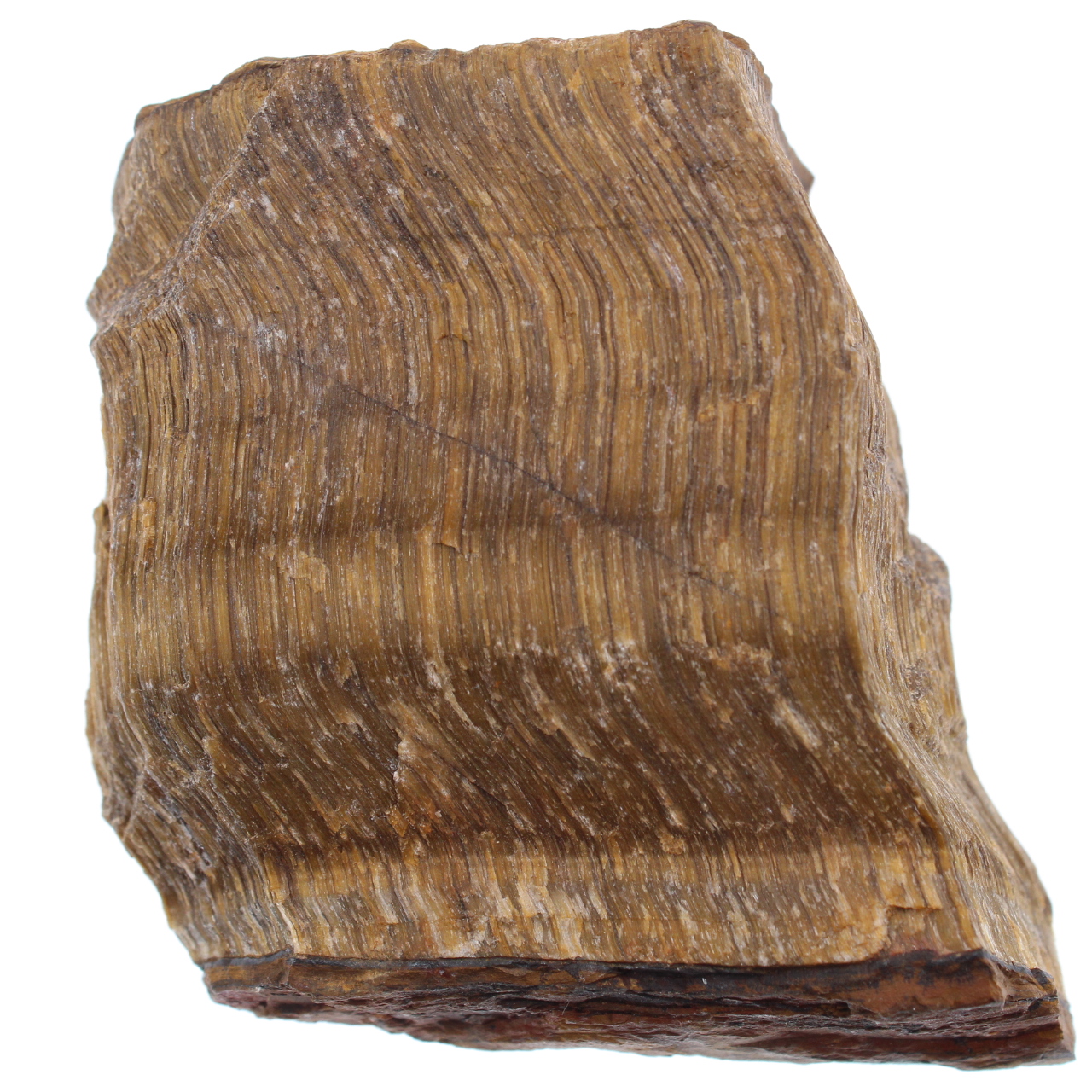 Occhio di tigre