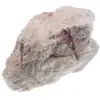 rubellite - 0