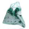 Malachite lucidata - 0
