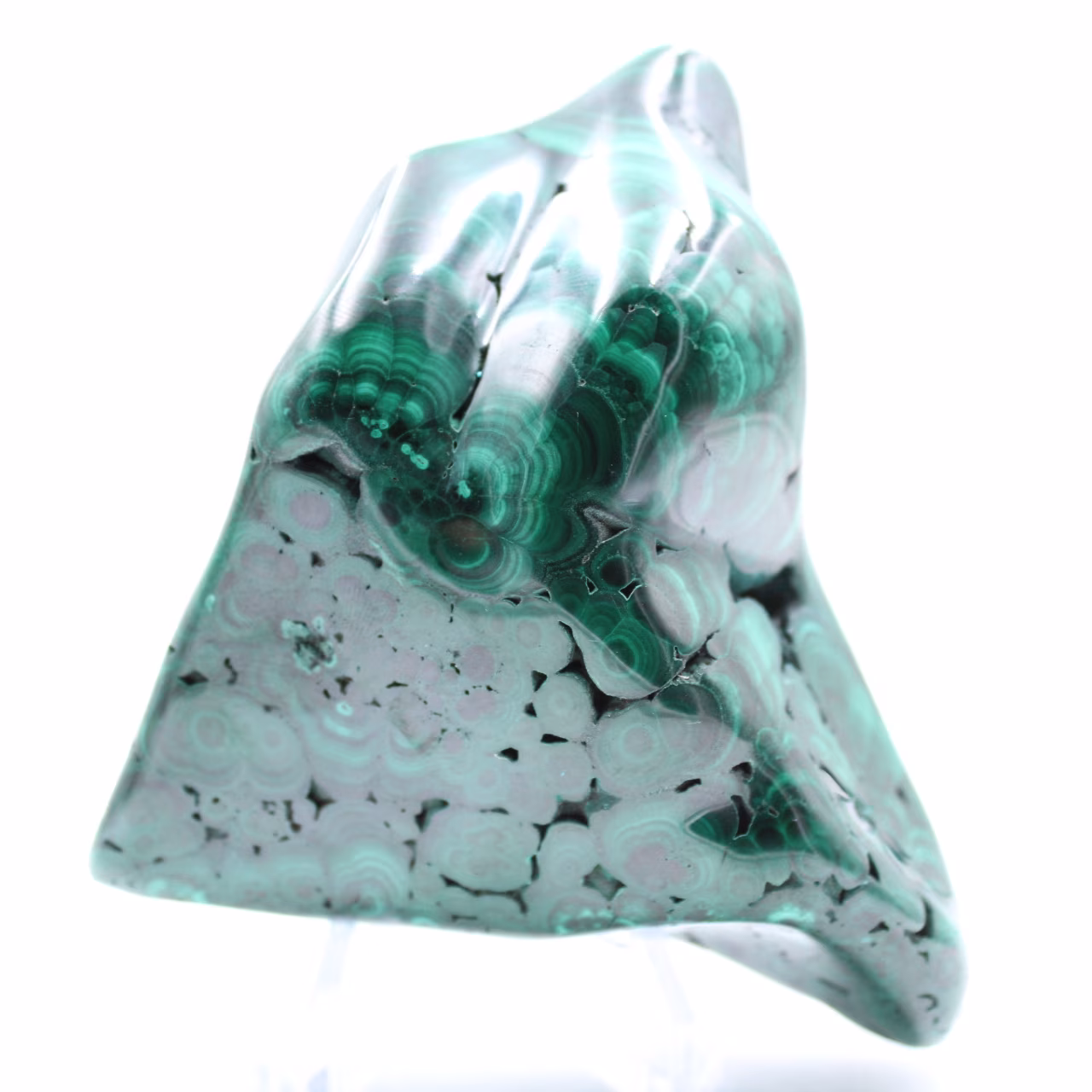 Malachite lucidata