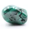 Malachite lucidata - 0