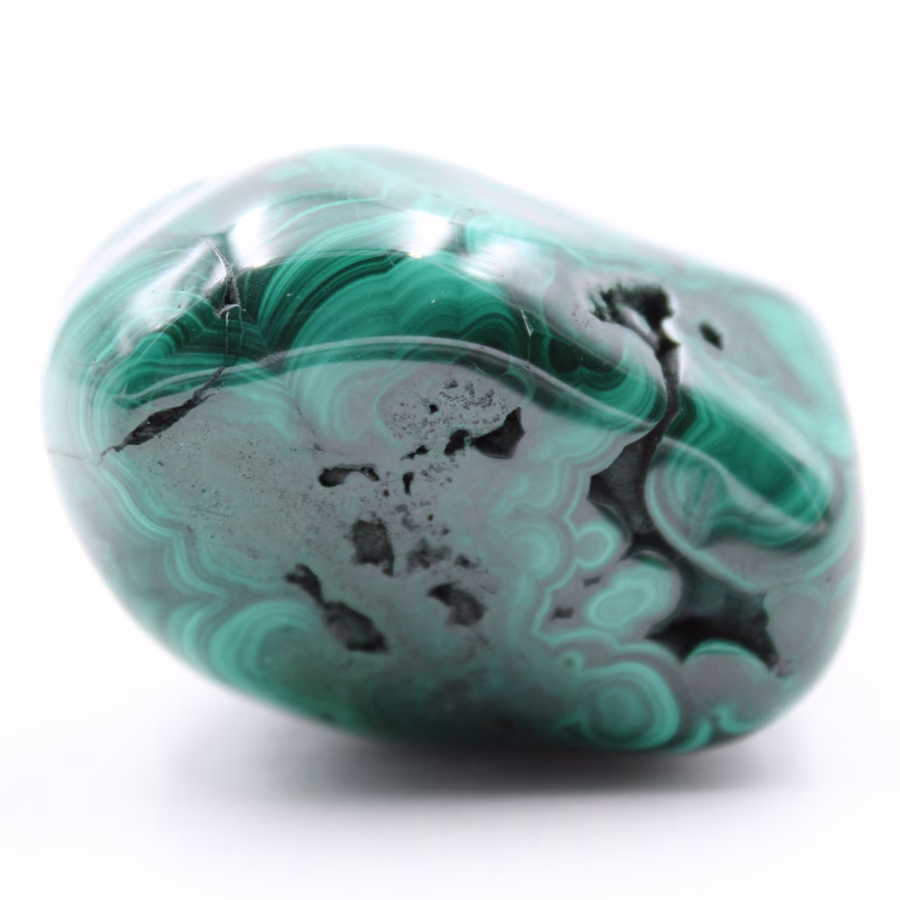 Malachite lucidata