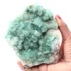 Cristalli cubici di fluorite verde su fluorite massiccia - 0