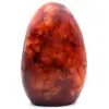 Roccia corniola - 0