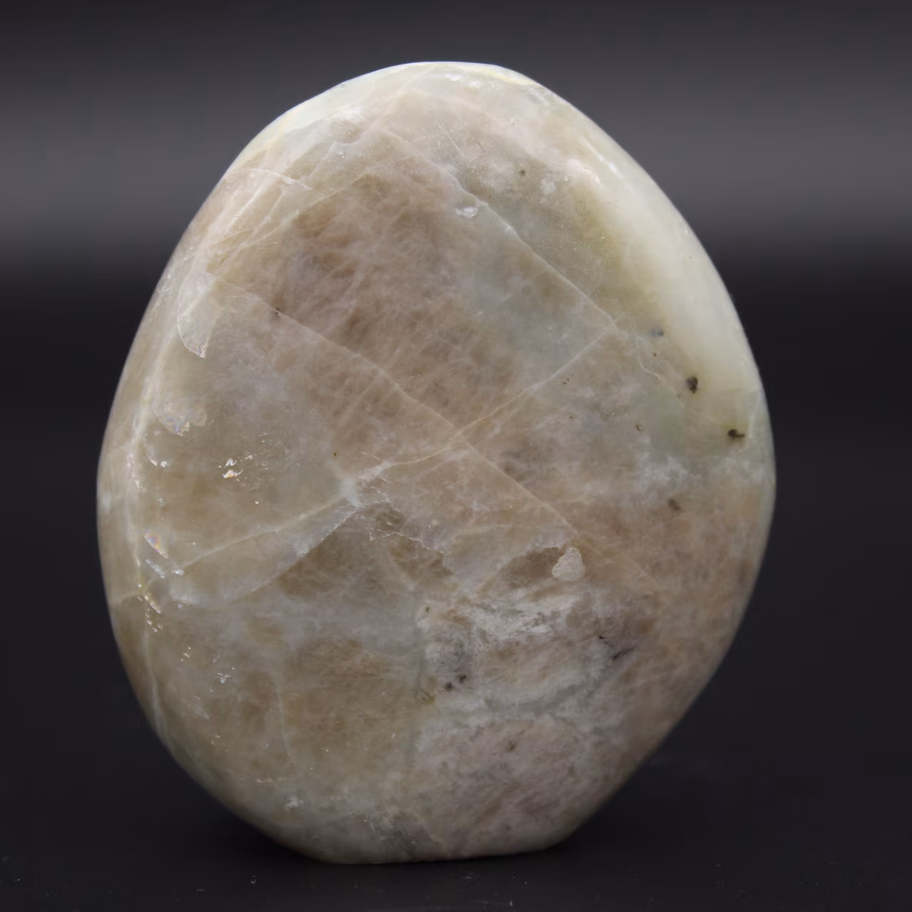 Roccia garnierite lucidata