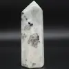 Prisma garnierite del Madagascar - 3