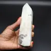 Prisma garnierite - 1