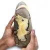 Septaria stone - 0