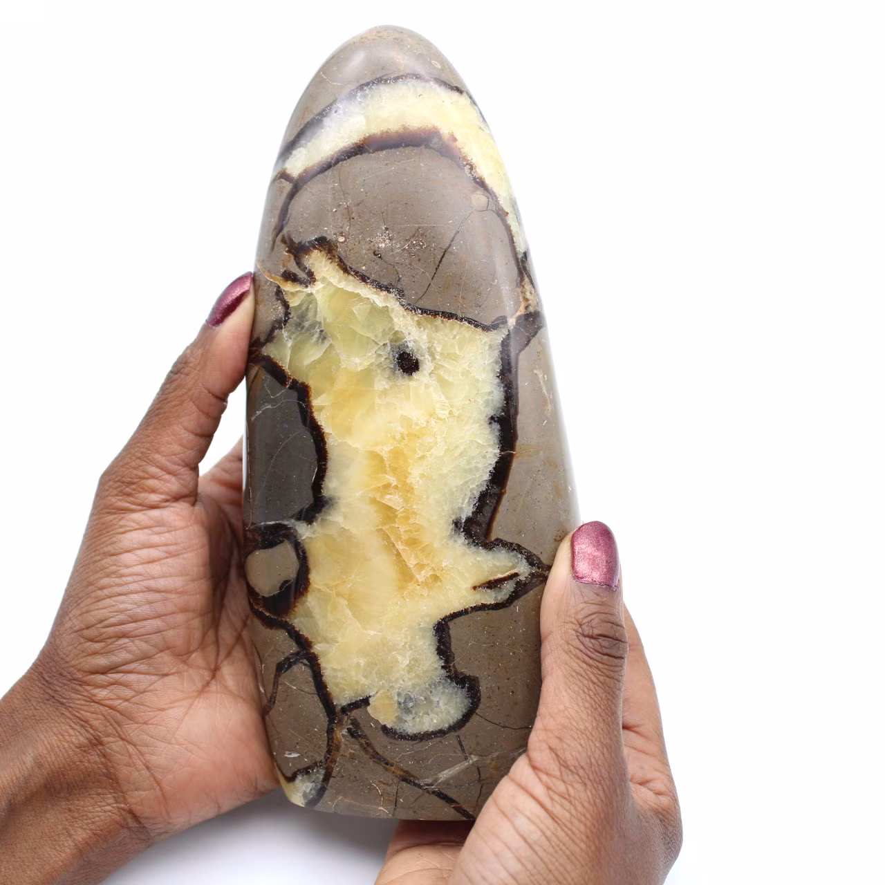 Septaria stone