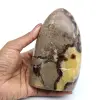 Septaria rock lucidato - 0