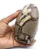 Septaria rock lucidato - 0