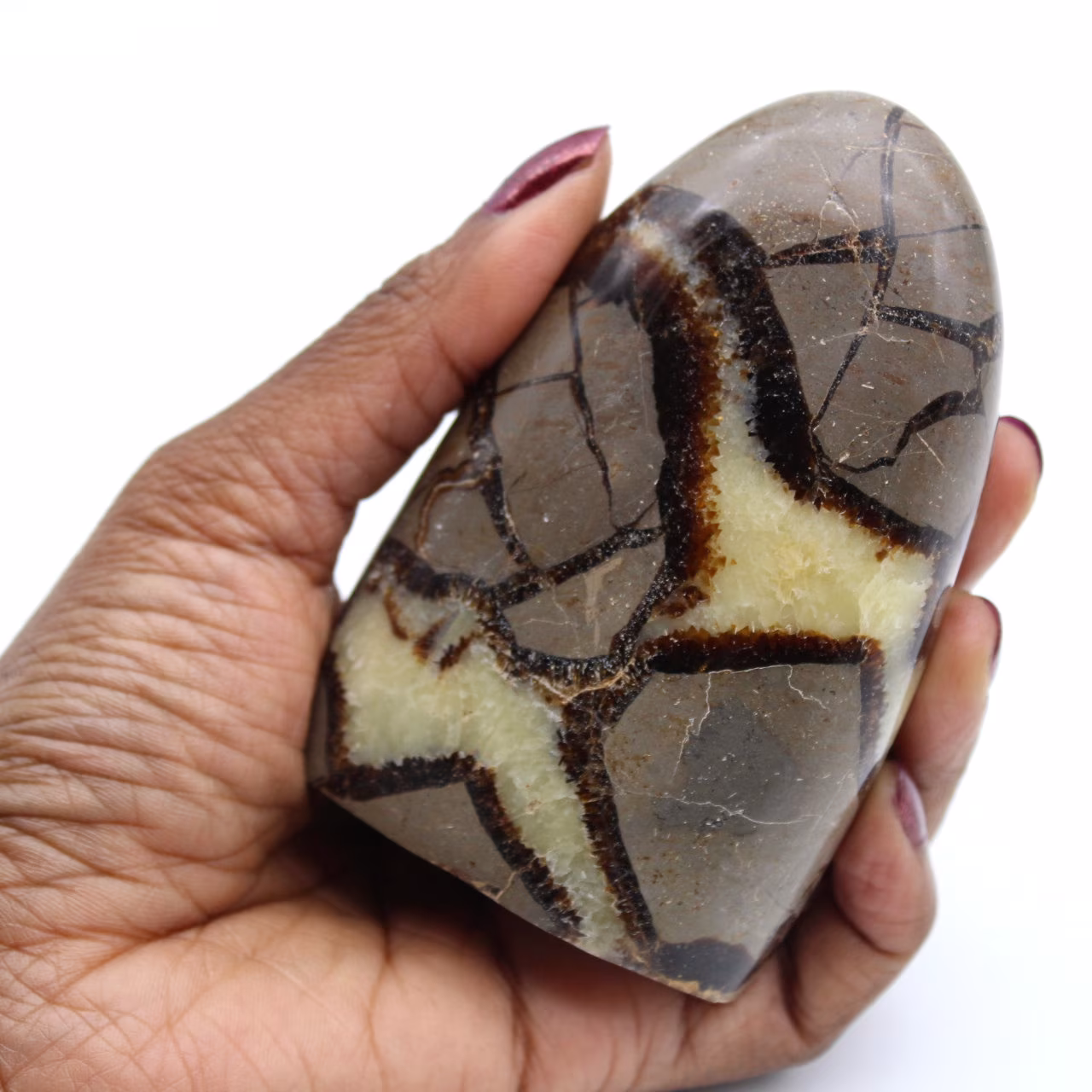 Septaria stone
