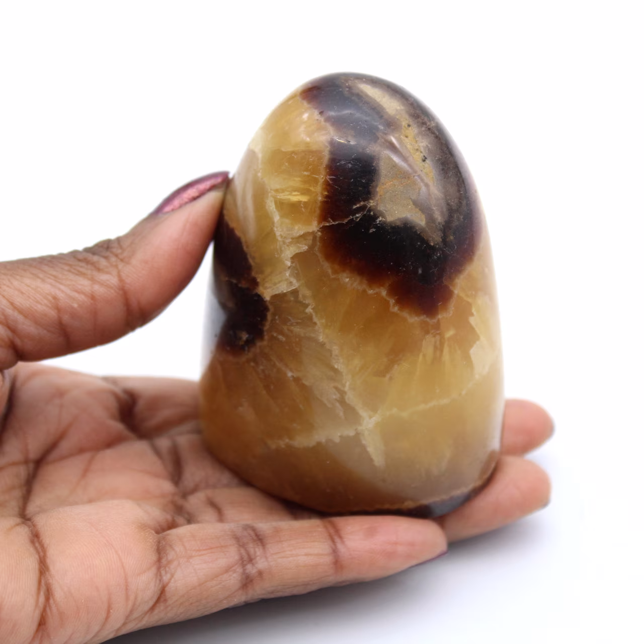 Septaria rock lucidato