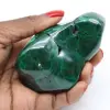 Malachite lucidata - 0