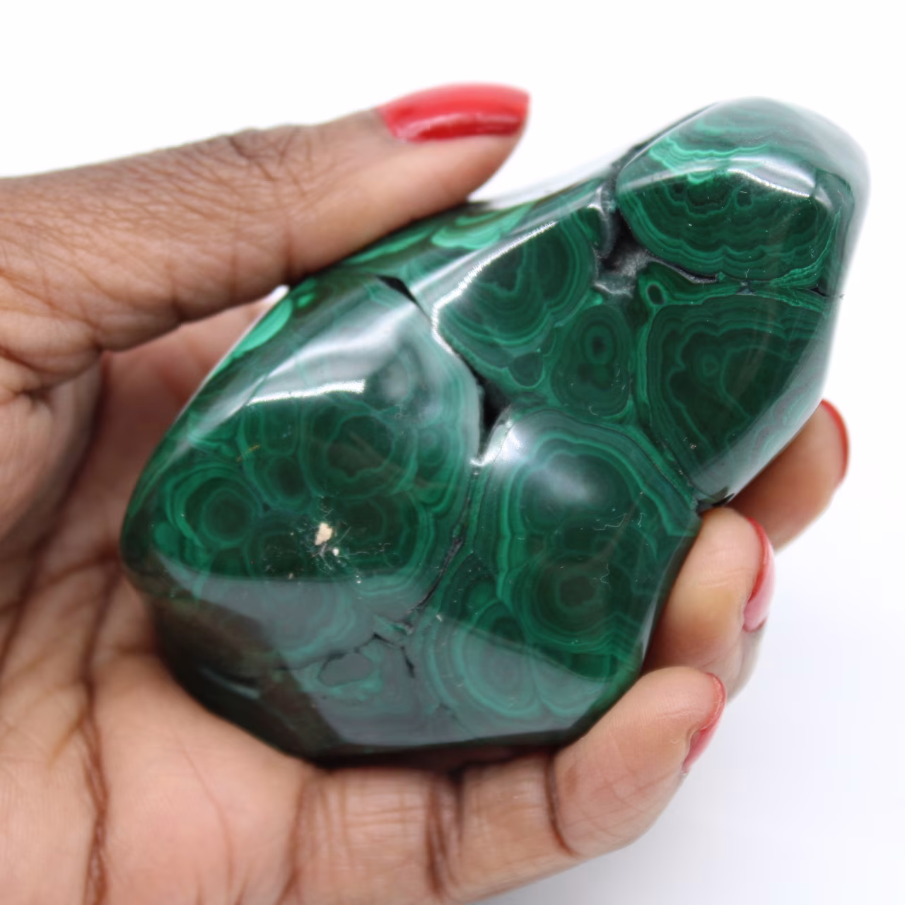 Malachite lucidata