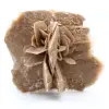 Rosa del deserto - 0