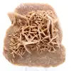 Rosa del deserto - 0