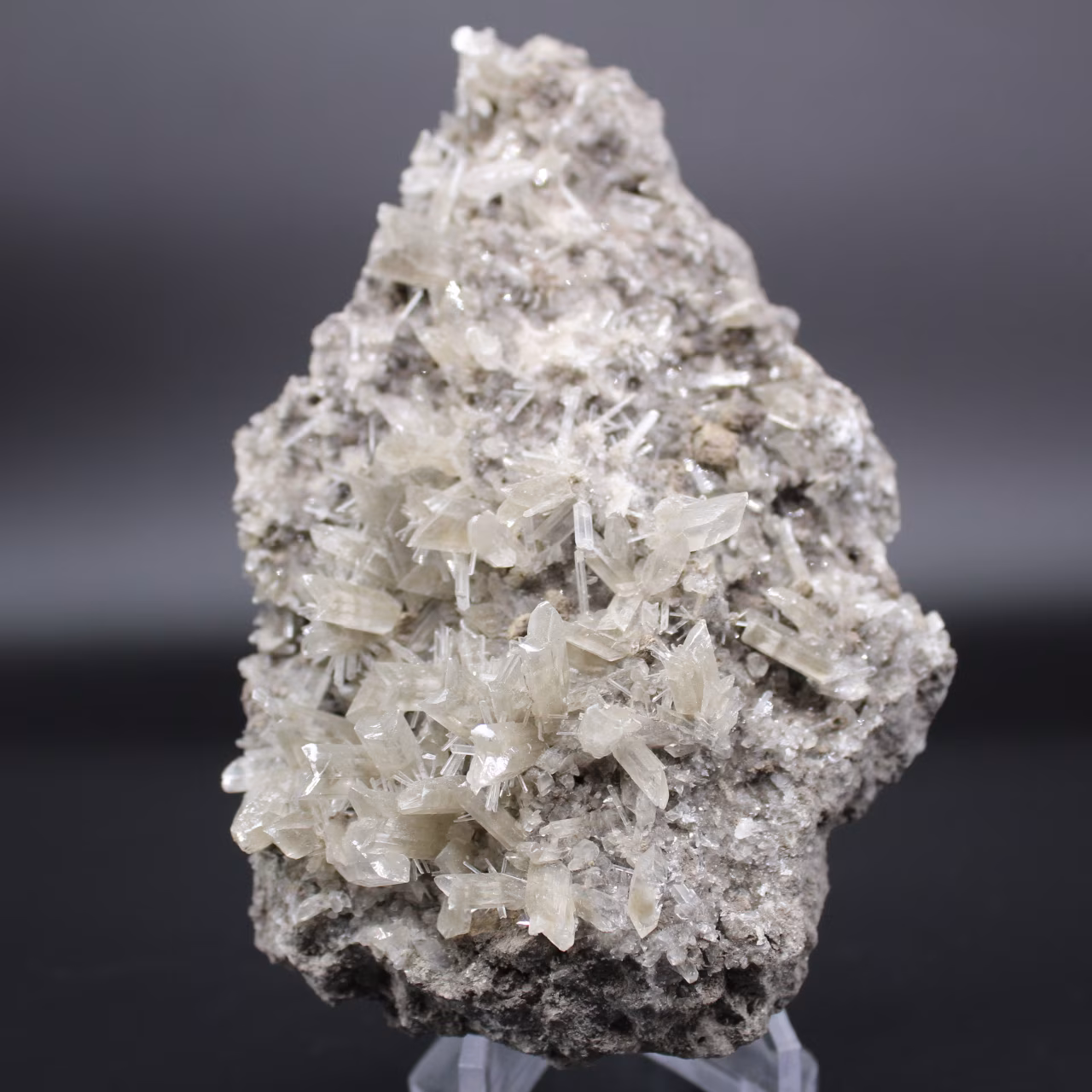 Cristalli di selenite sul Gange