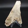 Gesso a punta di lancia - 0