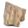 Blocco di legno fossile dell'Arizona - 0