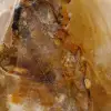 Pietra ornamentale al quarzo giallo del Madagascar - 5