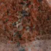 Pietra decorativa in arancio Dolomite - 5