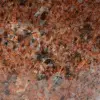 Arancio naturale dolomite - 5