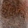 Arancio naturale levigato dolomite - 5