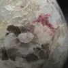 Piedra ornamental con inclusión de turmalina - 8