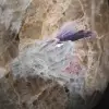 Piedra con inclusión de Turmalina de Madagascar - 5