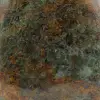 Pietra ornamentale crisoprasio del Madagascar - 5
