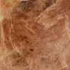 Pietra di luna microline rosa lucida del Madagascar - 5