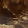 Blocco di calcite naturale lucidato al miele - 5