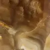 Miele di pietra calcite del Madagascar - 5