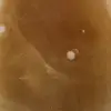 Pietra naturale di calcite al miele - 5