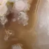 Pietra ornamentale di fiori di agata del Madagascar - 5