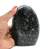 Blocco di diaspro kambamba naturale lucido - 1