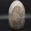 Diaspro a nastro grigio naturale da collezione - 1