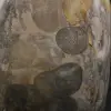Diaspro a nastro grigio naturale da collezione - 5