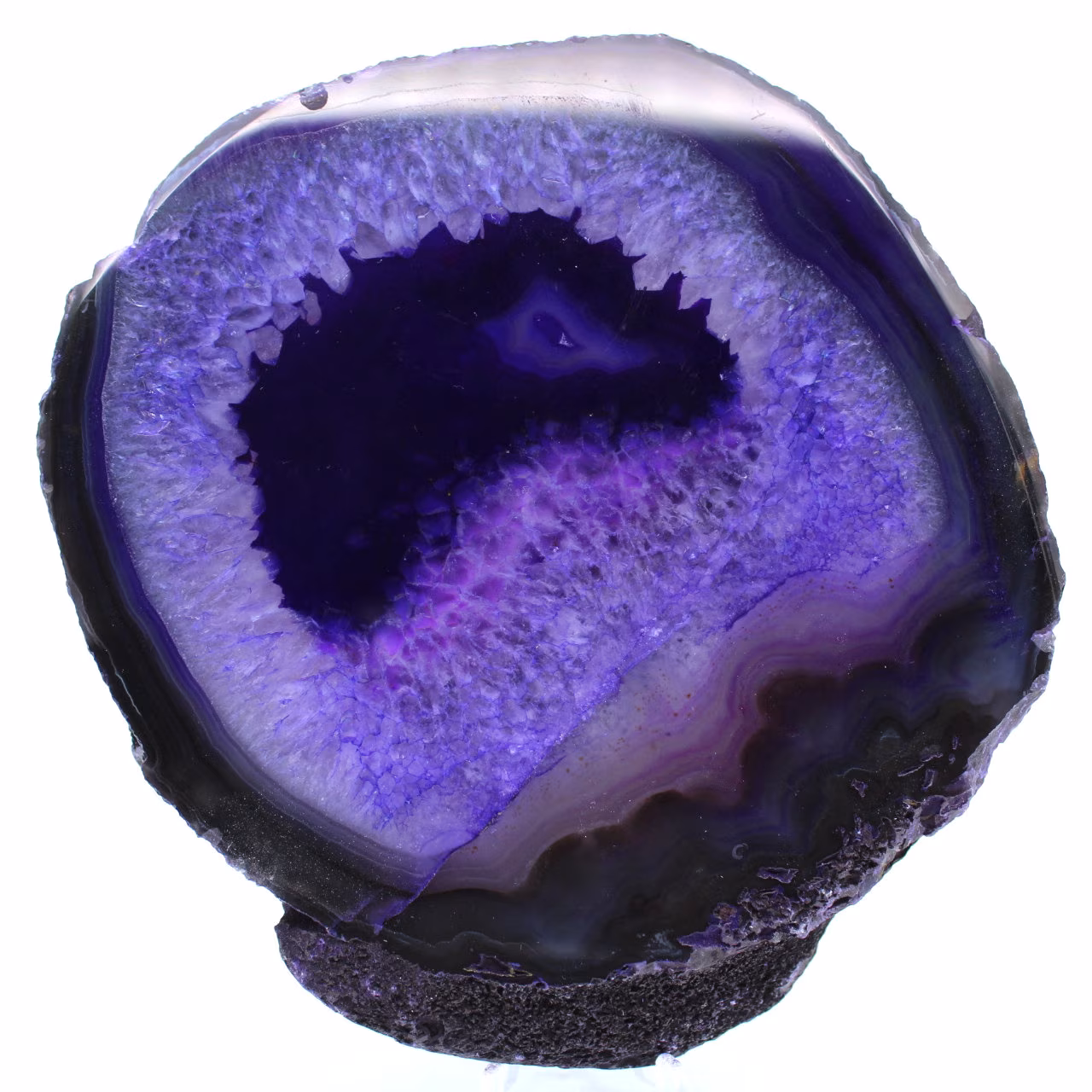 agata viola