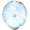 agata blu ornamentale - 0