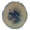 Fetta di agata blu - 0
