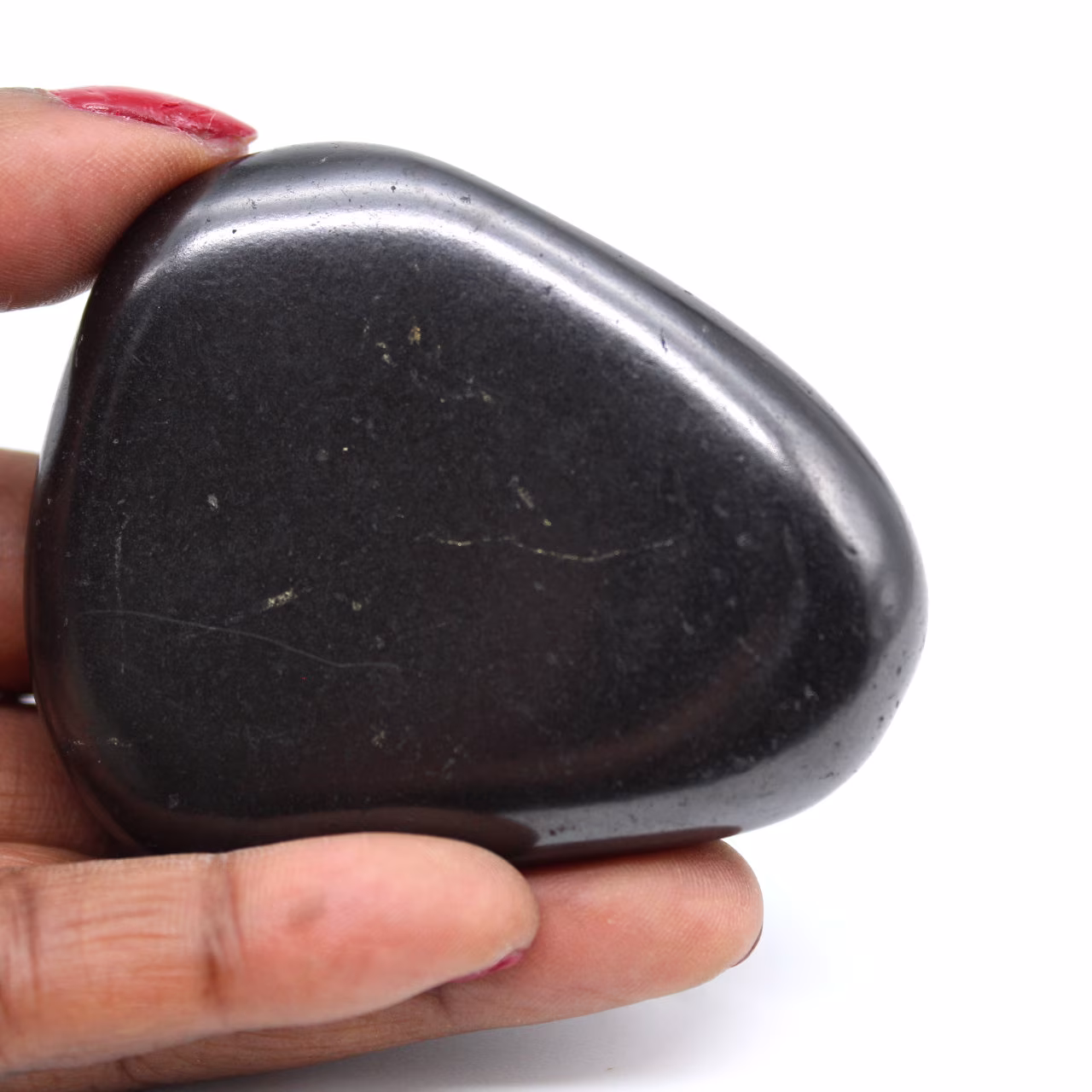 Shungite lucidata