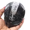 Orthoceras fossile lucidato - 0