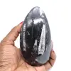 Orthoceras marocco - 0