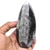 Orthoceras marocco - 0