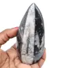 Fossile di orthoceras dal marocco - 0